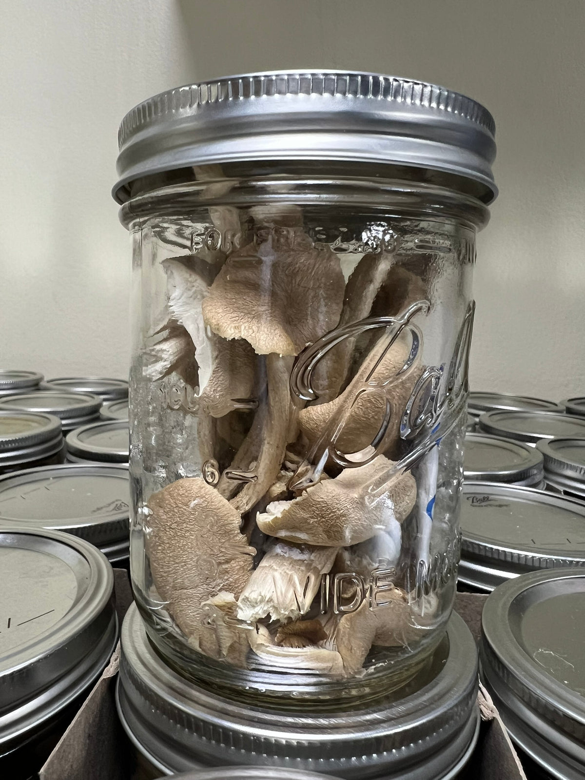 A clear glass mason jar with a silver metal lid, filled with dried mushrooms, shown in a stack of similar jars on a neutral background.