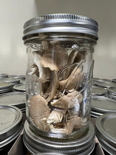 Load image into Gallery viewer, Freeze-Dried Pioppino Mushroom
