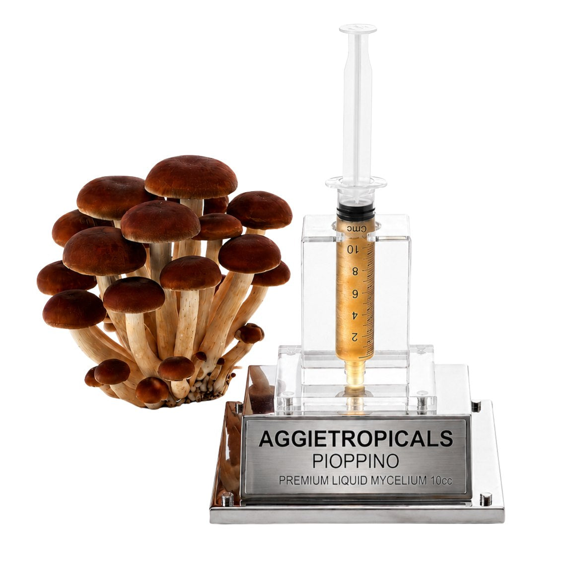 A dense cluster of Pioppino mushrooms with slender stems and brown caps, beside a syringe filled with liquid mycelium culture mounted on a mirrored stand, labeled "AGGIETROPICALS, PIOPPINO, PREMIUM LIQUID MYCELIUM 10cc", on a white background.