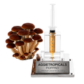 A cluster of brown Pioppino mushrooms next to a clear syringe filled with amber liquid mounted on a transparent acrylic stand with a silver metal plaque engraved 'AGGietROPICALS PIOPPINO PREMIUM LIQUID MYCELUM 10g'.