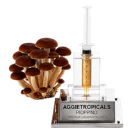 A cluster of brown Pioppino mushrooms next to a clear syringe filled with amber liquid mounted on a transparent acrylic stand with a silver metal plaque engraved 'AGGietROPICALS PIOPPINO PREMIUM LIQUID MYCELUM 10g'.