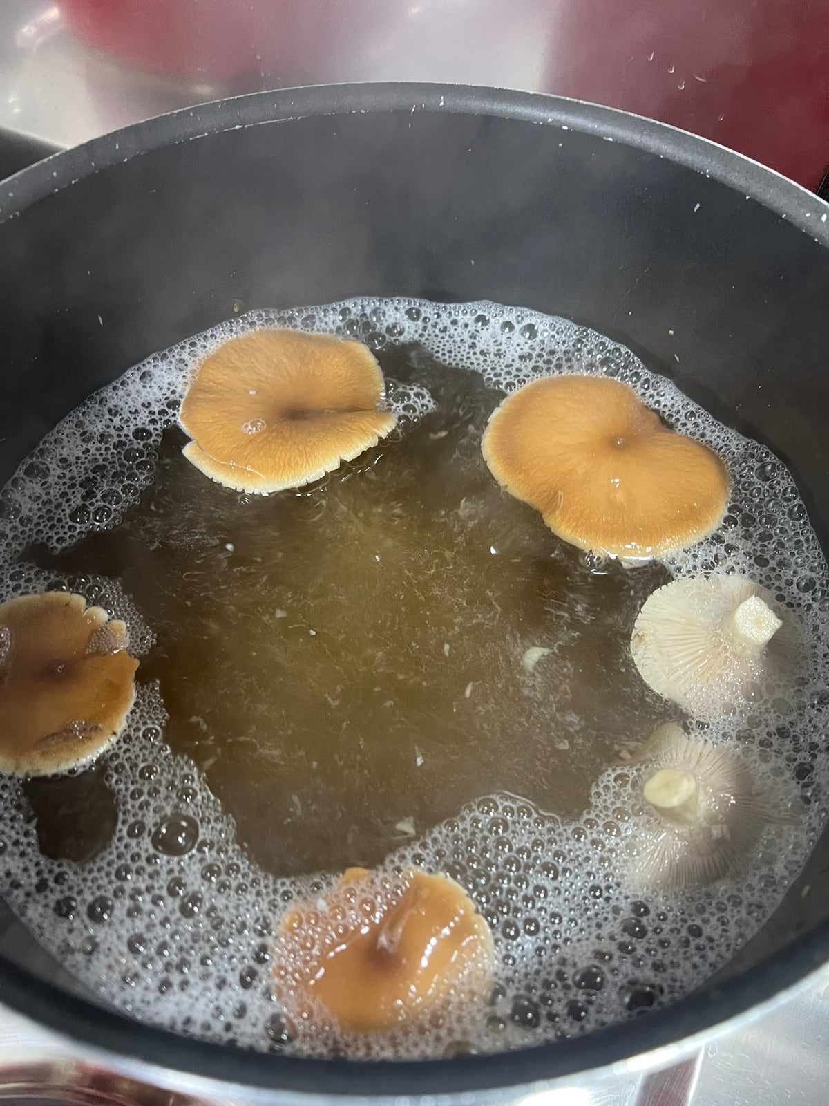 فطر بيوبينو محفوظ بالضغط