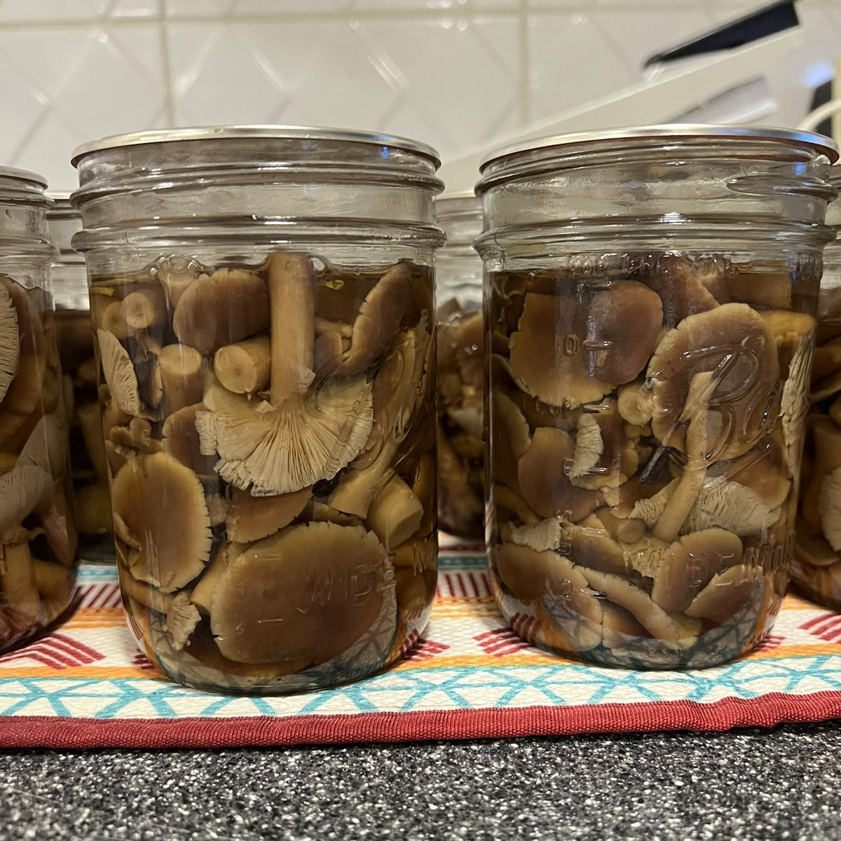 Several glass mason jars filled with sliced pioppino mushrooms in liquid, arranged on a patterned cloth on a kitchen countertop with tiled backsplash behind.