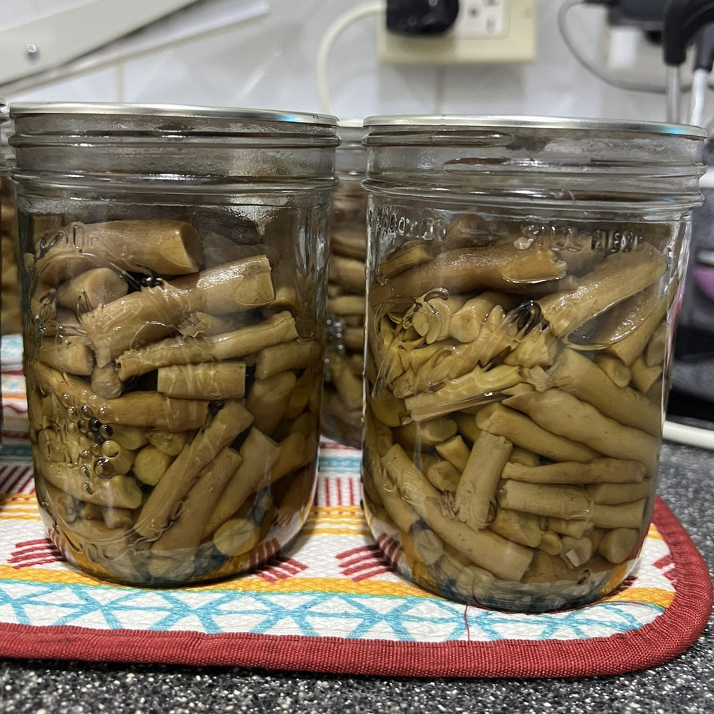 Two glass mason jars filled with sliced pioppino mushroom stems in liquid, placed on a patterned trivet on a kitchen countertop.