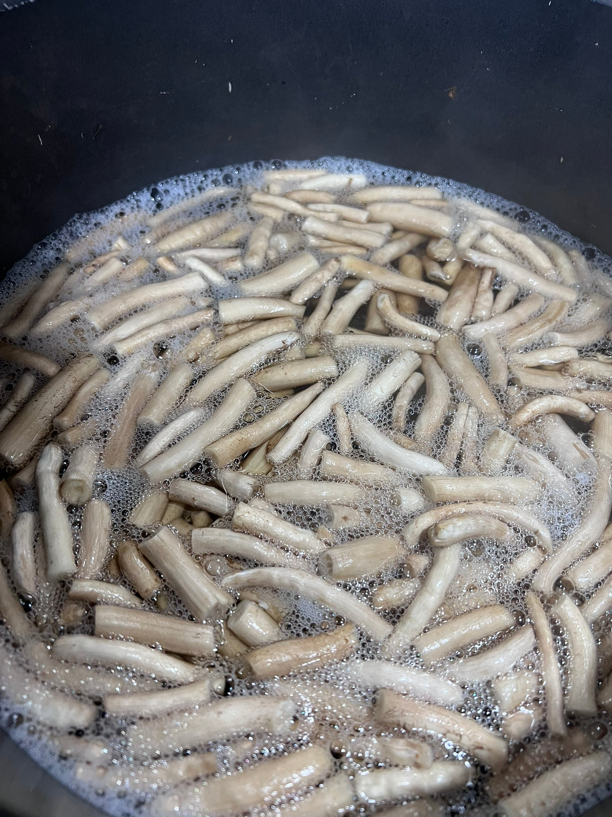 فطر بيوبينو محفوظ بالضغط