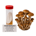 A 50ml centerfuge tube with a red cap containing a white fungal culture, shown next to a cluster of mature Pioppino mushroom stams. A label at the bottom reads 'AGGIETROPICALS CULTURE BANK PIOPPINO MUSHROOM SLANT CULTURE 50ml Centefuge Tube'.