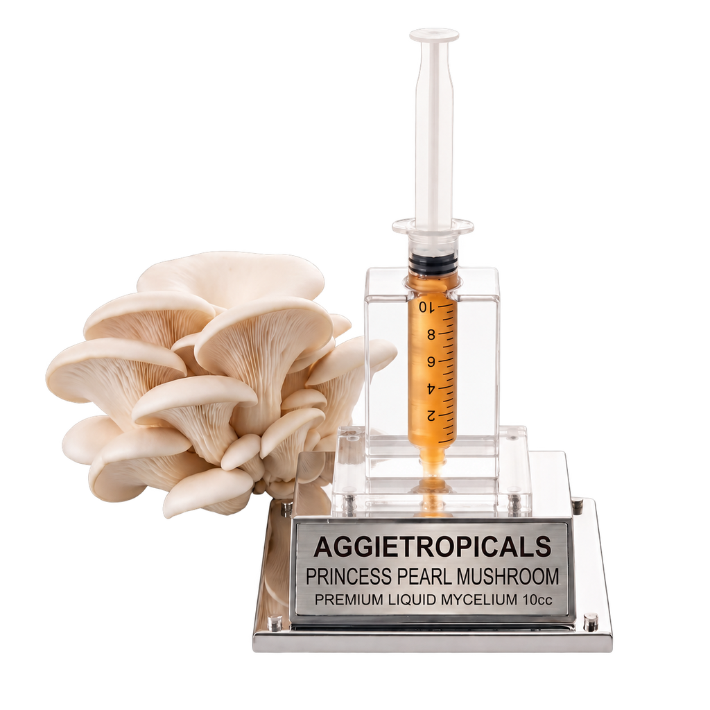A 3D model of the Princess Pearl mushroom strain by Aggietropicals, featuring a cluster of off-white mushrooms next to a clear plastic syringe filled with orange liquid, mounted on a silver metal base with a silver nameplate.