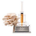 A 3D model of the Princess Pearl mushroom strain by Aggietropicals, featuring a cluster of off-white mushrooms next to a clear plastic syringe filled with orange liquid, mounted on a silver metal base with a silver nameplate.