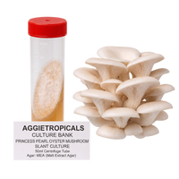 Princess Pearl Mushroom Slant Culture