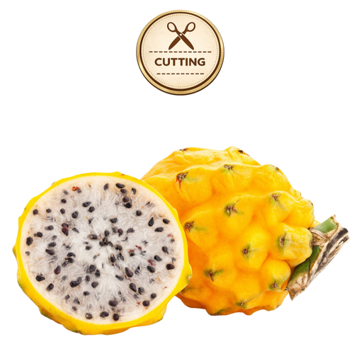 A yellow dragon fruit, shown both whole and halved to reveal a white flesh with black seeds, isolated on a white background with a 'CUTTING' stamp graphic above.