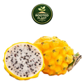 Yellow dragon fruit, shown whole and halved to reveal a white flesh with black seeds, on a white background with a green 'Rooted Plant' logo above.