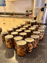 Load image into Gallery viewer, A large group of glass mason jars filled with sliced mushrooms, arranged on a kitchen countertop with a kitchen background visible.
