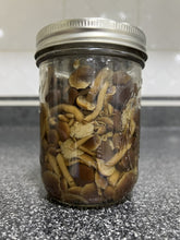 Load image into Gallery viewer, A clear glass mason jar filled with sliced mushrooms submerged in liquid. 
