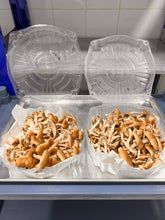 Load image into Gallery viewer, Two harvest batches of pioppino mushrooms in plastic containers on a baking tray on a blue trolly
