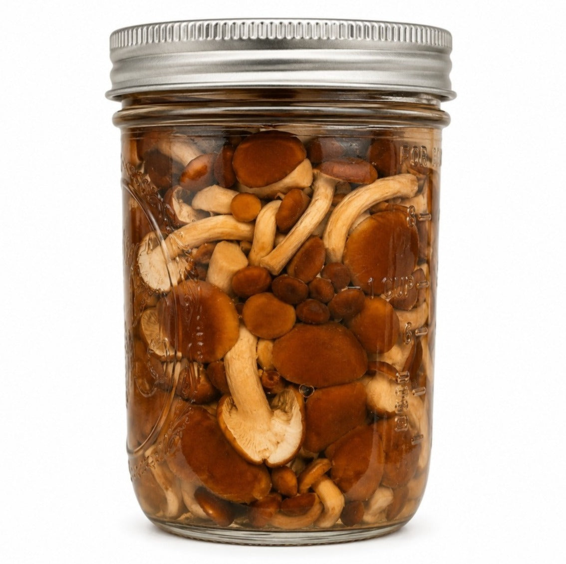 A clear glass mason jar with a silver metal lid, filled with pioppino mushrooms submerged in a liquid, photographed on a plain white background.