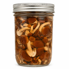 Load image into Gallery viewer, A clear glass mason jar with a silver metal screw-top lid, filled with sliced and whole pioppino mushrooms submerged in liquid, photographed on a plain white background.
