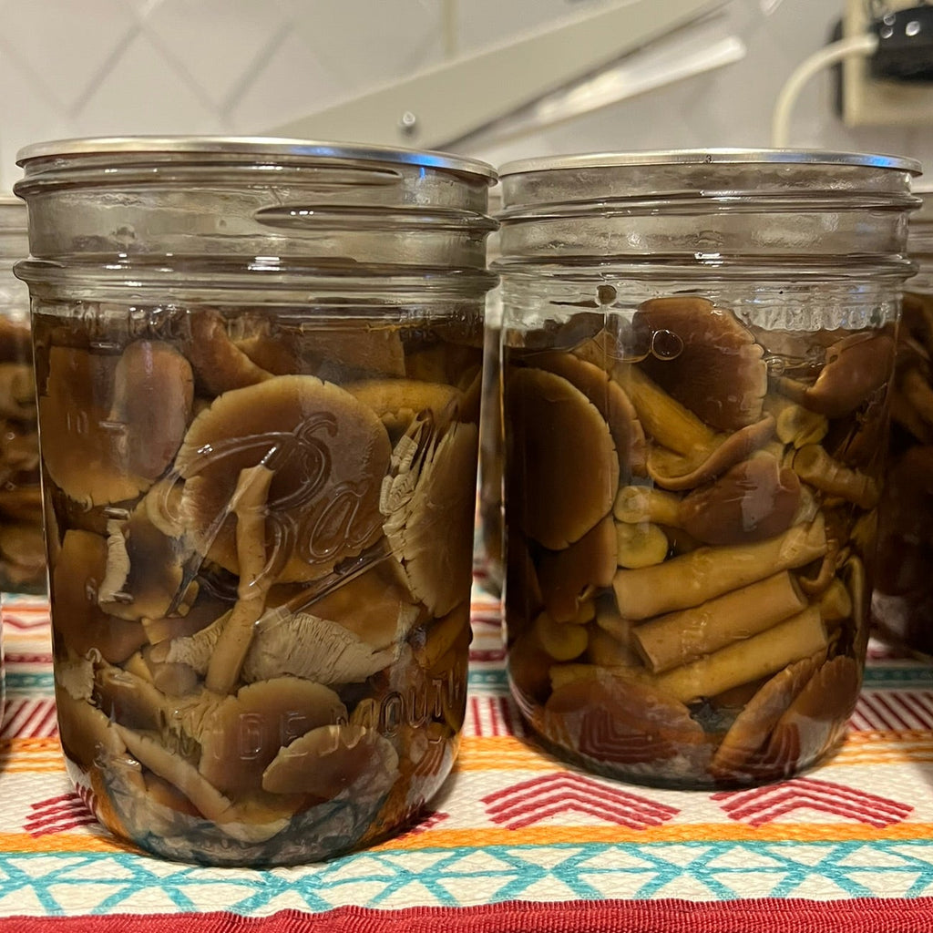 Several glass jars filled with sliced pioppino mushrooms and yellow stick-like pieces in liquid, arranged on a patterned cloth on a kitchen countertop with tiled walls in the background.