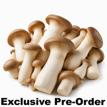 Load image into Gallery viewer, A pile of fresh king oyster mushrooms with brown caps and off-white stems, shown on a clean white background with the text 'Exclusive Pre-Order' at the bottom.

