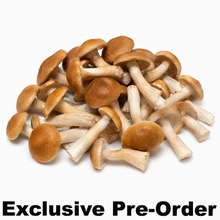 Load image into Gallery viewer, A pile of fresh brown mushrooms with beige stems on a white background, with the text 'Exclusive Pre-Order' at the bottom.
