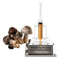 A cluster of Paddy Straw mushrooms with grey-brown egg-shaped caps, beside a syringe filled with liquid mycelium culture mounted on a mirrored stand, labeled "AGGIETROPICALS, PADDY STRAW, PREMIUM LIQUID MYCELIUM 10cc", on a white background.