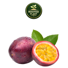 Load image into Gallery viewer, A whole and halved purple passion fruit with bright yellow-orange seeds and green leaves, shown on a white background with a green 'Rooted Plant' logo at the top.
