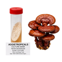 A slant culture sample of Reishi mushroom in a 50ml centrifuge tube with a red cap, shown next to a cluster of mature brown Reishi mushrooms on a white background with an AGGRIETROPICALS label.