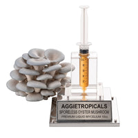 A dense cluster of Sporeless Oyster mushrooms with white fan-shaped caps, beside a syringe filled with liquid mycelium culture mounted on a mirrored stand, labeled "AGGIETROPICALS, SPORELESS OYSTER, PREMIUM LIQUID MYCELIUM 10cc", on a white background.