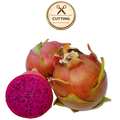 Three Shayna  dragon fruit fruits on a white background, with one cut open to show the bright magenta flesh and black seeds. A circular badge above reads 'CUTTING' with scissors icon.