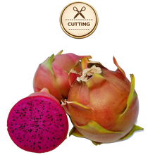 Load image into Gallery viewer, Three Shayna  dragon fruit fruits on a white background, with one cut open to show the bright magenta flesh and black seeds. A circular badge above reads 'CUTTING' with scissors icon.
