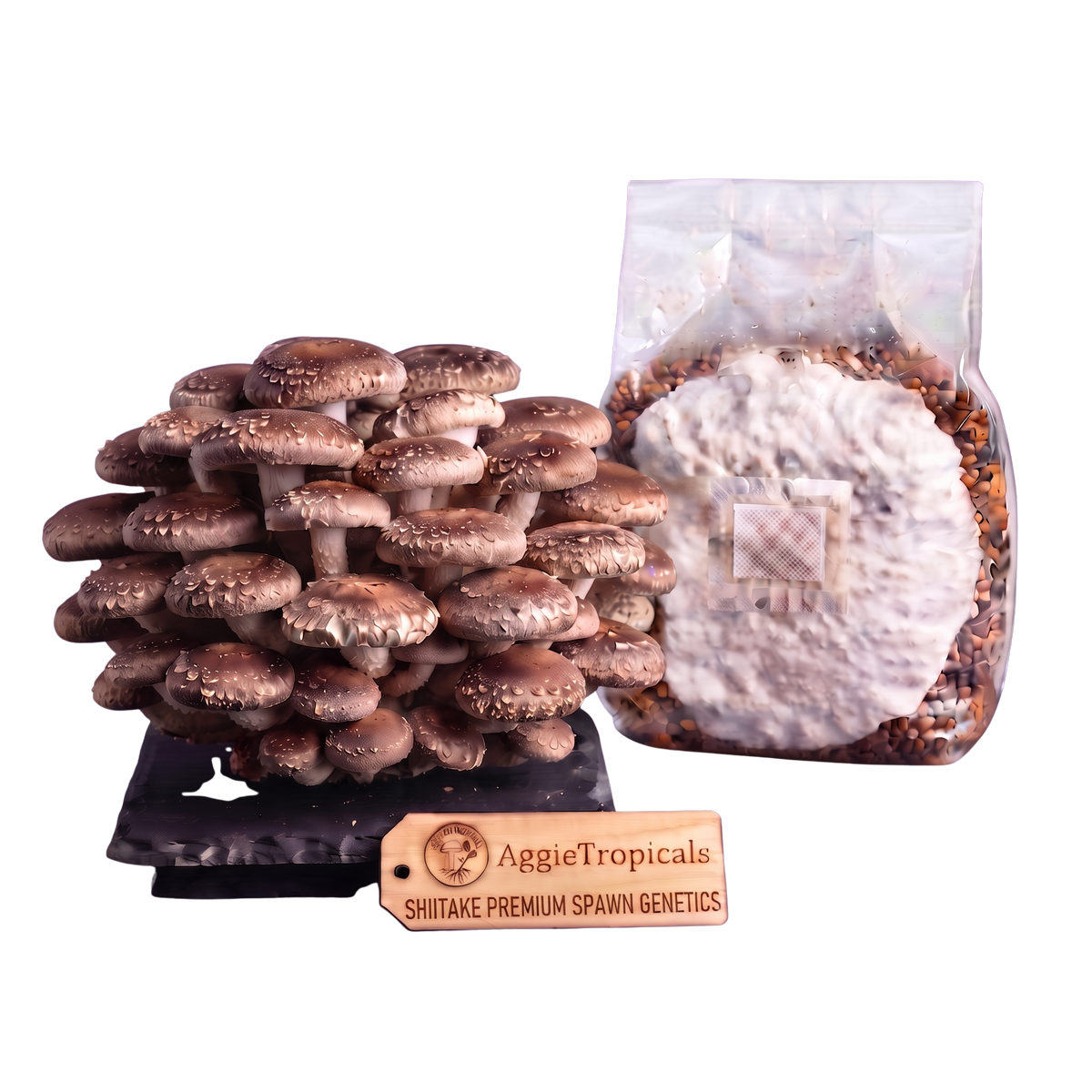 A cluster of mature shiitake mushrooms next to a clear plastic bag containing a white mycelium spawn pack, with a wooden brand tag reading 'AggieTropicals SHIITAKE PREMIUM SPAWN GENETICS' on a white background.