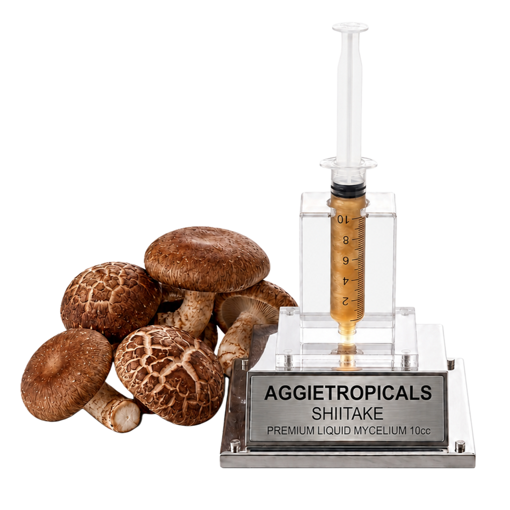 A clear plastic and glass syringe-style container filled with amber liquid, mounted on a silver base labeled AGGietROPICALS SHITAKE, shown beside several brown shiitake mushrooms on a white background.