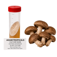A 50ml centrifuge tube with a red cap containing a shiitake mushroom culture sample, shown next to several fresh brown shiitake mushrooms on a white background. A label reads 'AGGietropicals Culture Bank Shitake Mushroom Slant Culture 50ml Centrifuge Tube Agar: MEA (Malt Extract Agar)'.