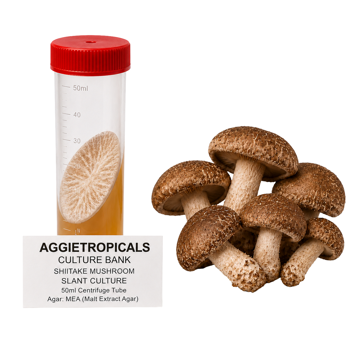 A 50ml centrifuge tube with a red cap containing a shiitake mushroom culture sample, shown next to several fresh brown shiitake mushrooms on a white background. A label reads 'AGGietropicals Culture Bank Shitake Mushroom Slant Culture 50ml Centrifuge Tube Agar: MEA (Malt Extract Agar)'.