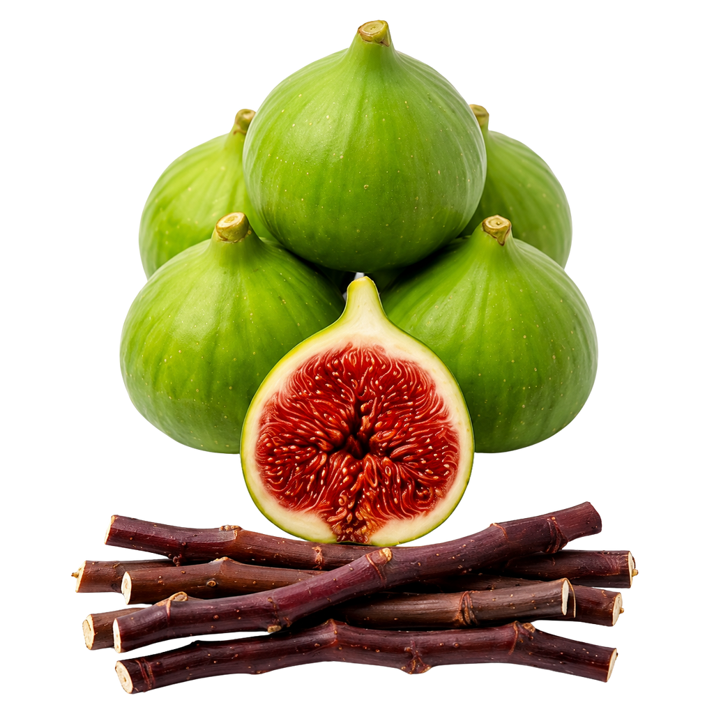 Green whole and halved figs with dark reddish-brown fig stalks arranged on a white background.