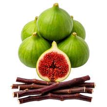 تحميل الصورة في عارض المعرض، Green whole and halved figs with dark reddish-brown fig stalks arranged on a white background.

