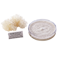 Tremella mother culture next to a tremella mushroom fruit