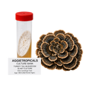 A 50ml centrifuge tube with a red cap containing a white mushroom culture, shown next to a large cluster of sliced turkey tail mushrooms, with a text label reading 'AGGietROPICALS CULTURE BANK'.