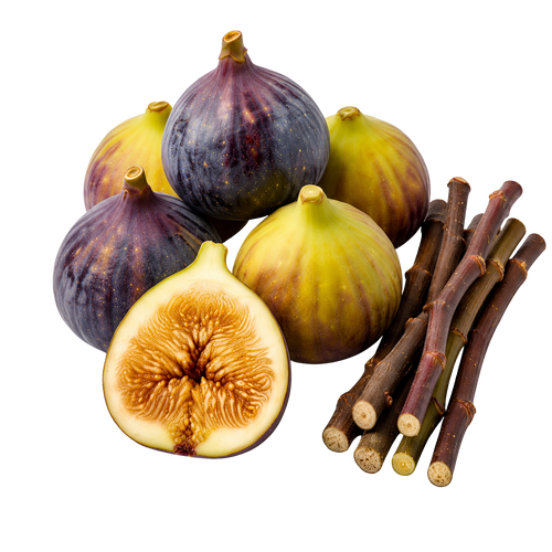 A cluster of whole and halved figs with several brown fig stems on a plain white background.