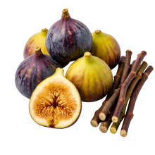 تحميل الصورة في عارض المعرض، A cluster of whole and halved figs with several brown fig stems on a plain white background.
