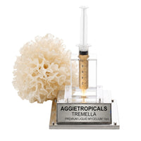 A white, translucent, ruffled Tremella mushroom with a jelly-like texture, beside a syringe filled with liquid mycelium culture mounted on a mirrored stand, labeled "AGGIETROPICALS, TREMELLA, PREMIUM LIQUID MYCELIUM 10cc", on a white background.