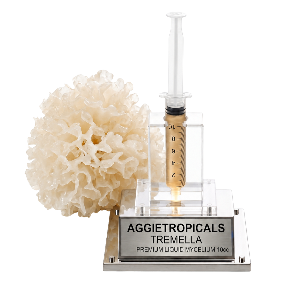 A 10ml syringe filled with golden liquid mycelium displayed in a clear acrylic holder on a silver metal base engraved with 'AGGIETROPICALS TREMELLA PREMIUM LIQUID MYCELUM 10cc'. A natural white sponge is positioned to the left of the syringe on a clean white background.