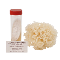 A 50ml culture tube with a red cap next to a cream-colored lacy mushroom fruiting body, with a label reading 'AGGietROPICALS CULTURE BANK TREMELLA MUSHROOM SLANT CULTURE 50ml Centrifuge Tube Agar: MEA (Malt Extract Agar)'.