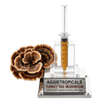 A clear acrylic and glass turkey tail mushroom mycelium kit by Aggietropicals, featuring a clear syringe-style container with amber liquid and a matching turkey tail mushroom specimen on a silver base.