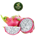 Dragon fruit shown on a white background, including a whole pink-skinned dragon fruit, a sliced half showing white flesh with black seeds, and a wedge slice. A circular 'Rooted Plant' logo appears at the top center.