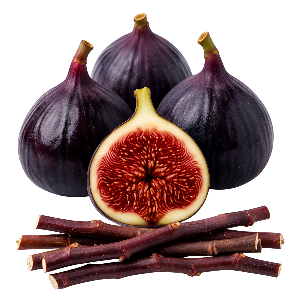 Four dark purple whole figs with stems, one cut open in half showing red-brown flesh and seeds, and several brown fig stems arranged in front, isolated on a white background.