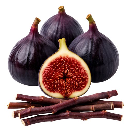Four dark purple whole figs with stems, one cut open in half showing red-brown flesh and seeds, and several brown fig stems arranged in front, isolated on a white background.