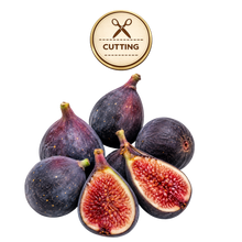 تحميل الصورة في عارض المعرض، A cluster of fresh figs, including two halves cut open to show the pinkish-red seeds, with a circular gold 'CUTTING' icon above them on a white background.
