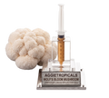 A clear acrylic and glass mycelium kit display featuring a cluster of off-white Wolf's Bloom mushroom gills next to a clear syringe filled with golden-brown liquid, mounted on a clear acrylic stand with a silver plaque reading 'AGGJETROPICALS WOLF'S BLOOM MUSHROOM PREMIUM LIQUID MYCELIUM 10CC'.