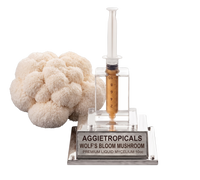 A clear acrylic and glass mycelium kit display featuring a cluster of off-white Wolf's Bloom mushroom gills next to a clear syringe filled with golden-brown liquid, mounted on a clear acrylic stand with a silver plaque reading 'AGGJETROPICALS WOLF'S BLOOM MUSHROOM PREMIUM LIQUID MYCELIUM 10CC'.