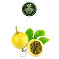 A yellow百香果 (passion fruit) whole and halved with green leaves, shown on a white background with a 'Rooted Plant' logo at the top.